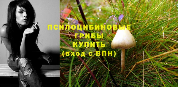 стаф Магас