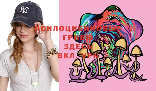 хмурый Анжеро-Судженск