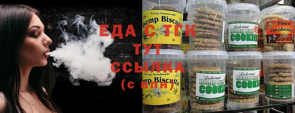 стаф Магас