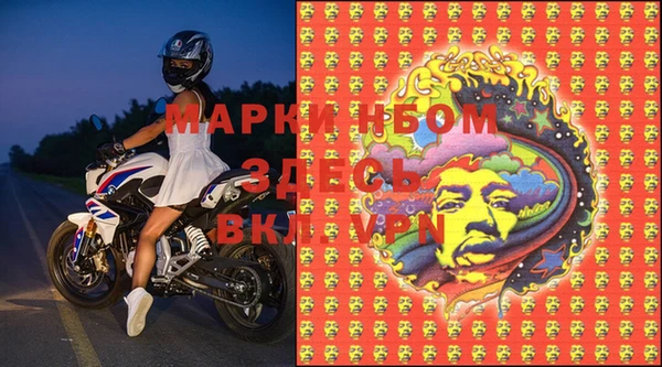 стаф Магас
