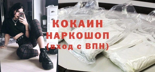 стаф Магас