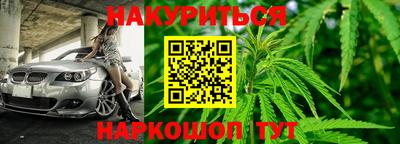 прущие грибы Рыбинск