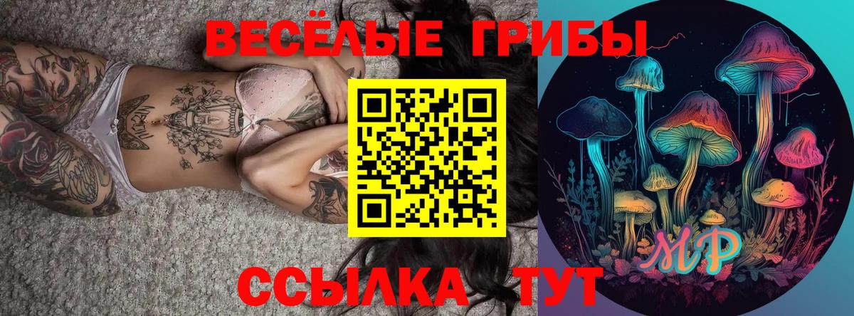 Галлюциногенные грибы Magic Shrooms  Галлюциногенные грибы мицелий  Сибай  Вход с VPN 