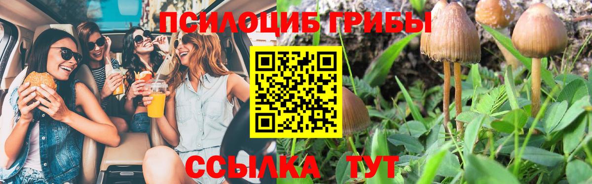 Псилоцибиновые грибы мицелий Сибай